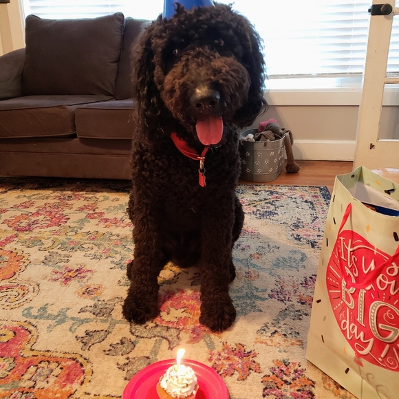 Your Posher, Tiffinee. - Picture 12 of 16